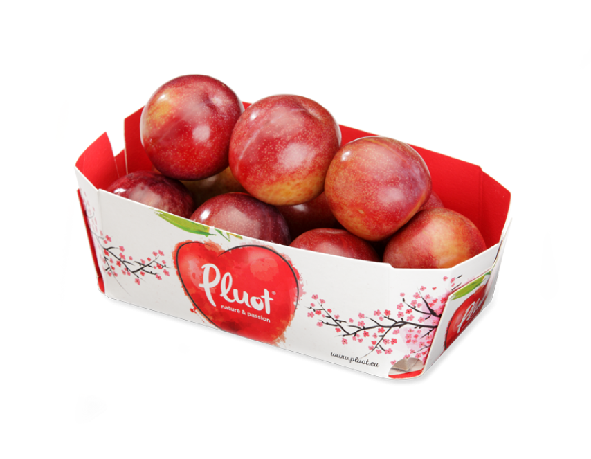 Pluot