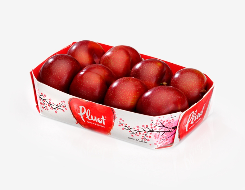 Pluot