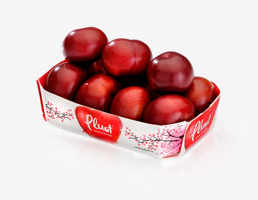 Pluot